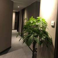 戀 spa